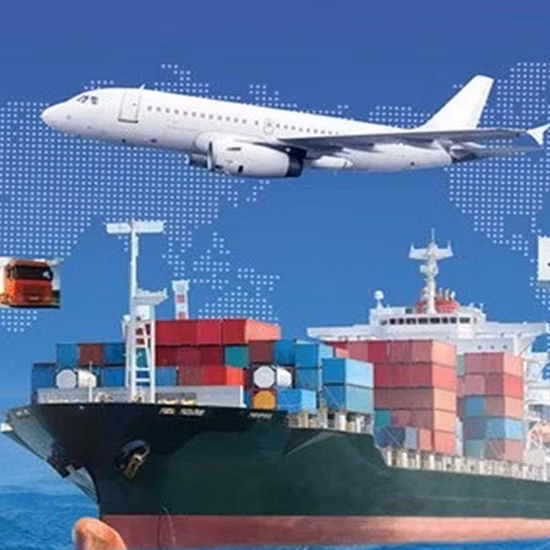 Fba First-Leg International Transportation, Us/Canada/Europe Cross-Border Supply Chain Freight Forwarding
