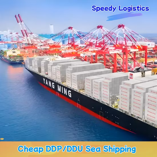 Logistics Company From Shenzhen to Cambodia Fba Amazon Warehouse DDP Door to Door Services