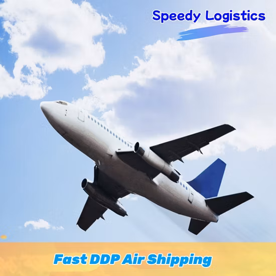 Logistics Company From Shenzhen to Cambodia Fba Amazon Warehouse DDP Door to Door Services