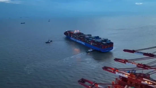 Expédition de fret maritime Service de fret DDP de la Chine à l'entrepôt Amazon