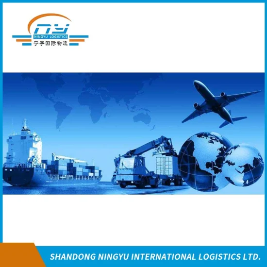 Agent de fret professionnel/fournisseur de services logistiques expérimenté/expédition de conteneurs de la chine à la turquie par mer/air