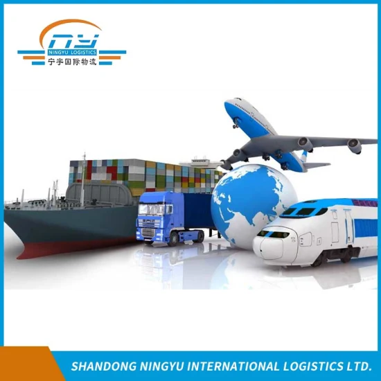 Dédouanement à l'importation et à l'exportation/service d'entrepôt/service de camion à Ningbo