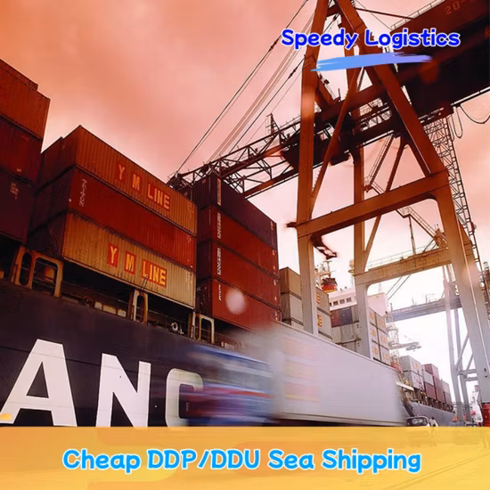 Logistique Nigéria Transitaire vers la France Fret aérien de la Chine vers le Canada Nigéria Allemagne Cargo Services