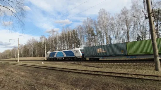 Service d'expédition ferroviaire de la chine à la russie/Walsino livraison directe agent logistique de transport terrestre livraison directe