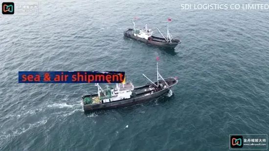 Fret maritime/fret maritime/services de fret de conteneurs de Shanghai au port maritime de Montevideo