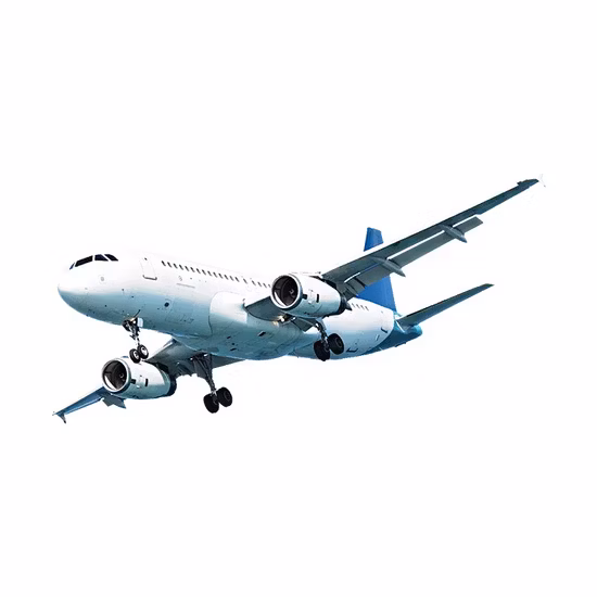 Fret maritime vers l'Arabie Saoudite depuis la Chine Agent d'expédition à bas prix DDP Service porte à porte