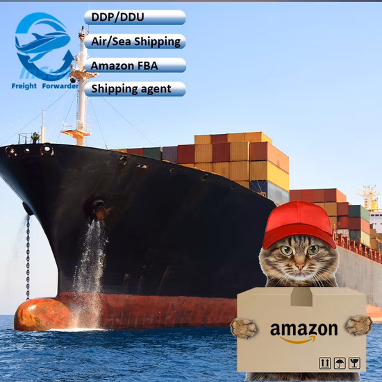 Service de fret aérien vers le Canada