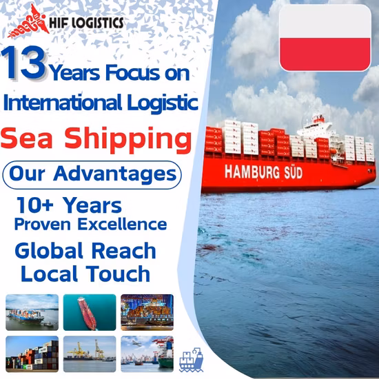 De la Chine aux États-Unis Amazon Warehouse by Sea Cargo DDP Shipping Service